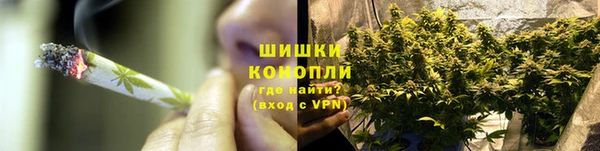 прущие грибы Ростов