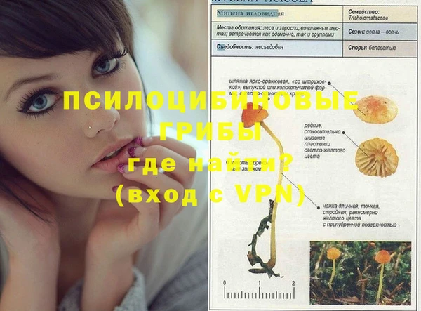 ГАЛЛЮЦИНОГЕННЫЕ ГРИБЫ Пролетарск